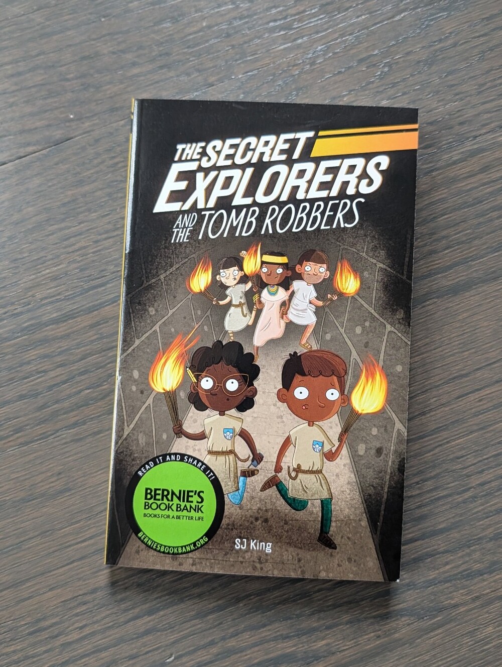 The Secret Explorers and the Tomb Robbers